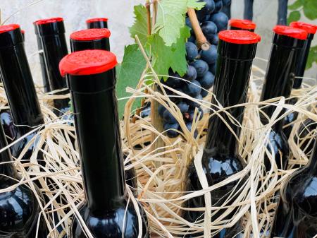 Vino_Foto_SKL